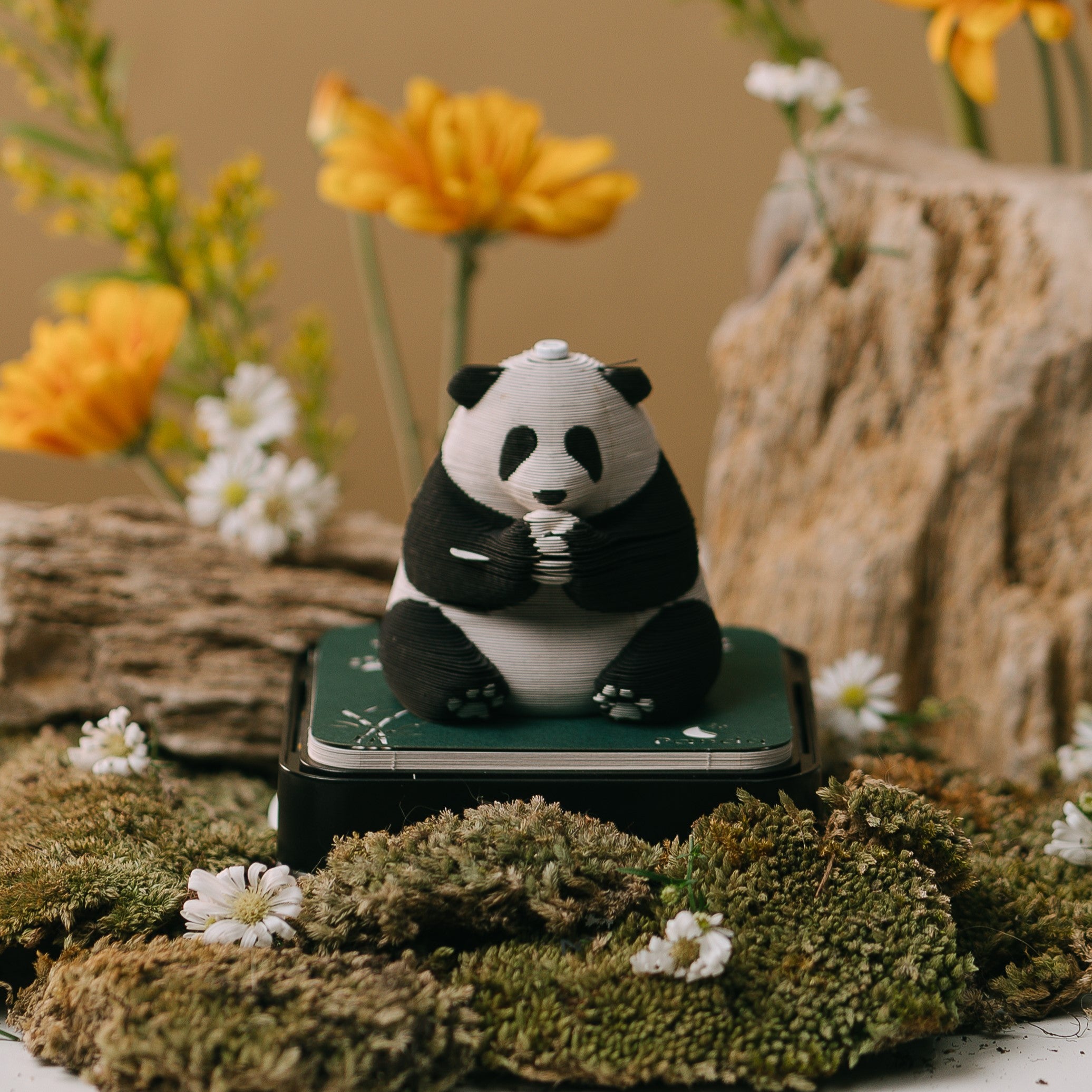 VAR02780.jpg?crop=center&