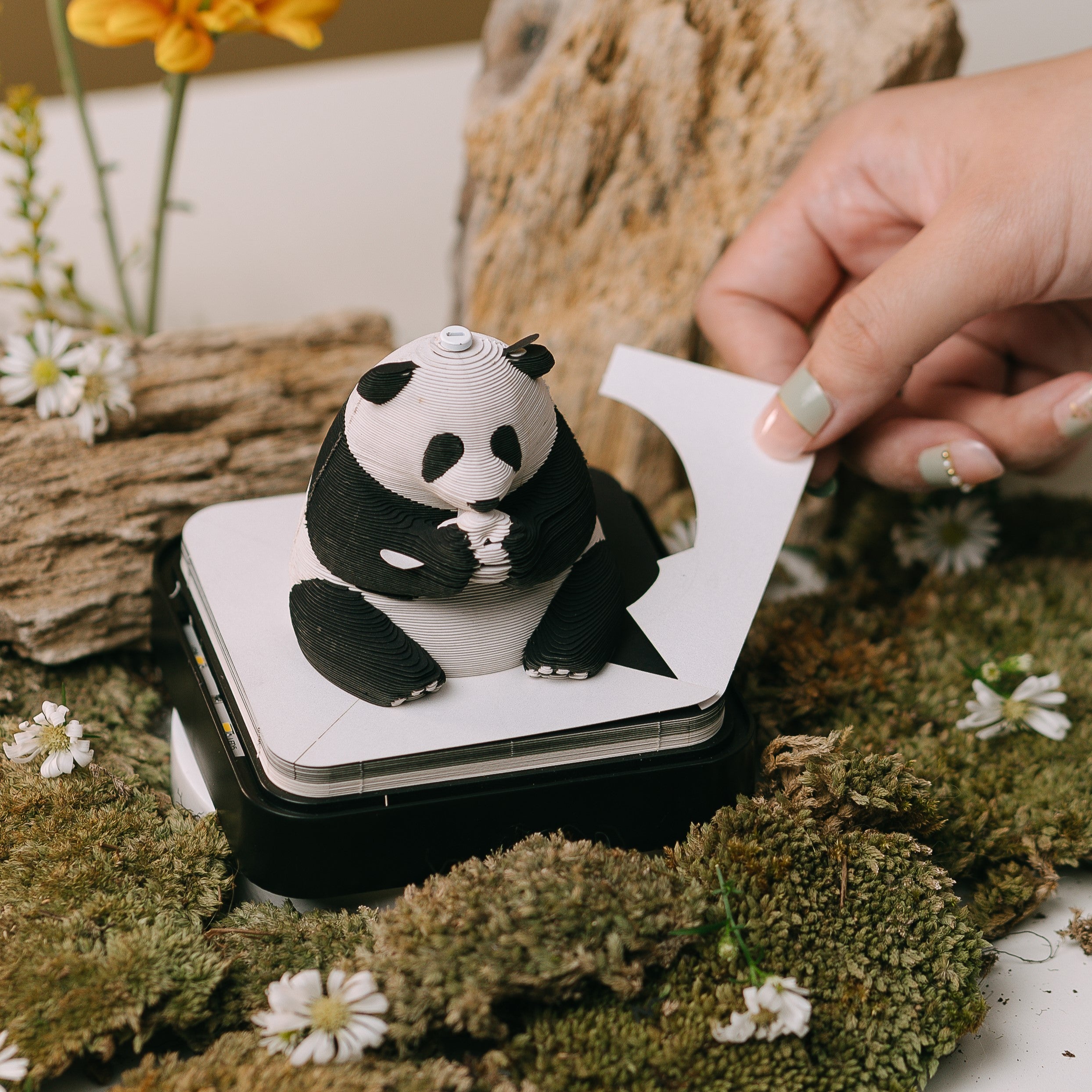 Big Panda (Calendar 2026) – Strathon